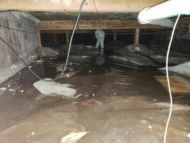 Best Water Damage Insurance Claim Assistance in Roosevelt, NY